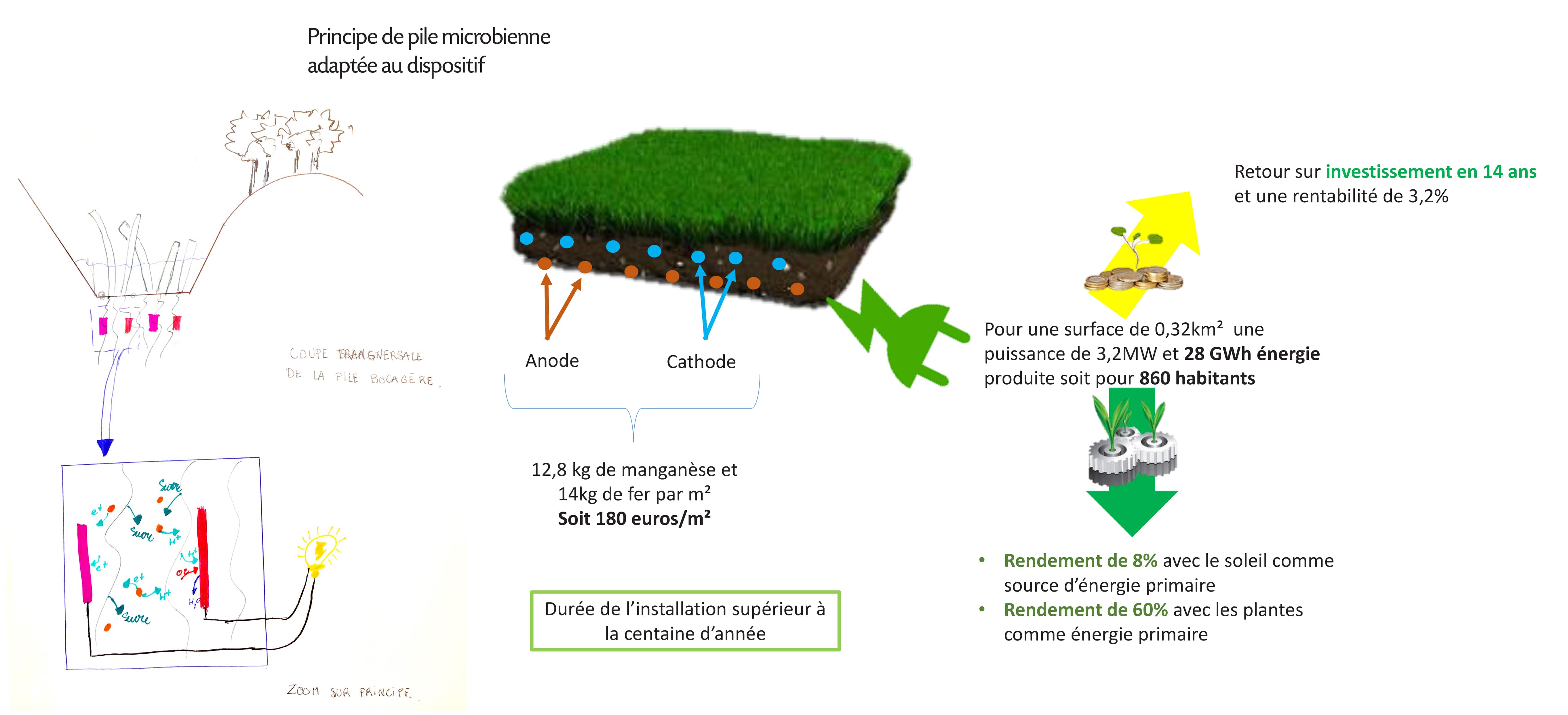 Projet proposé